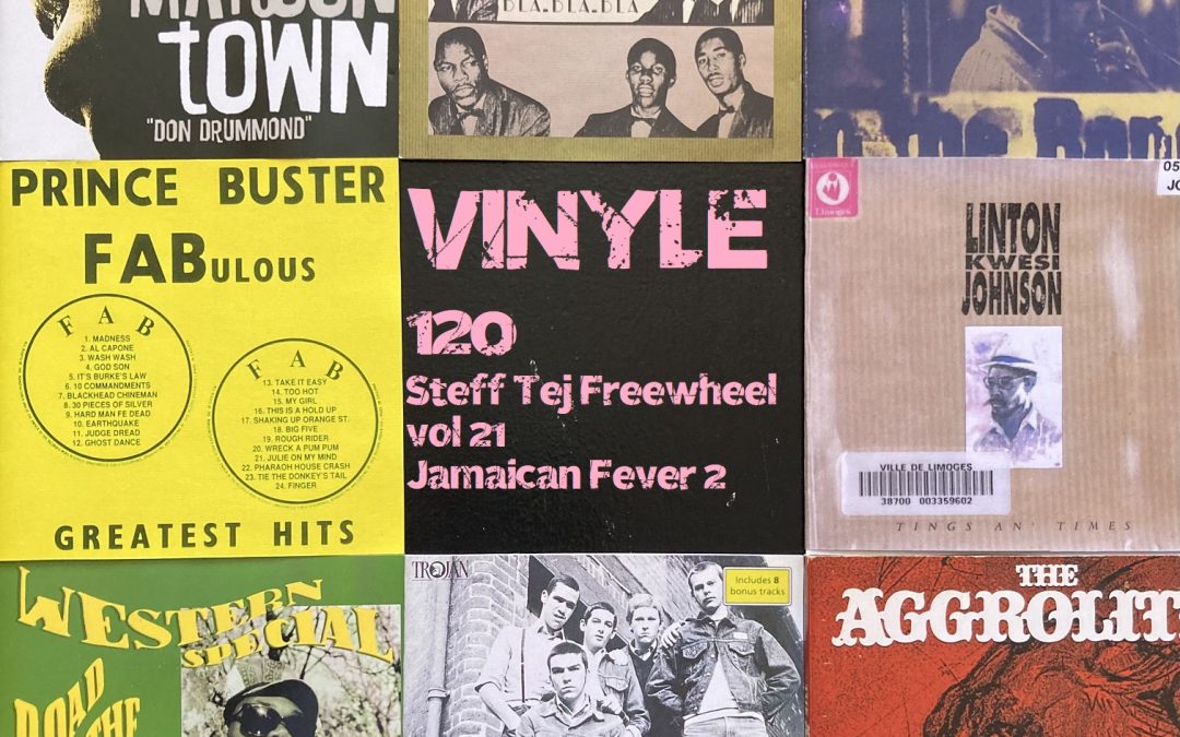 Vinyle n°106 par Steff Tej