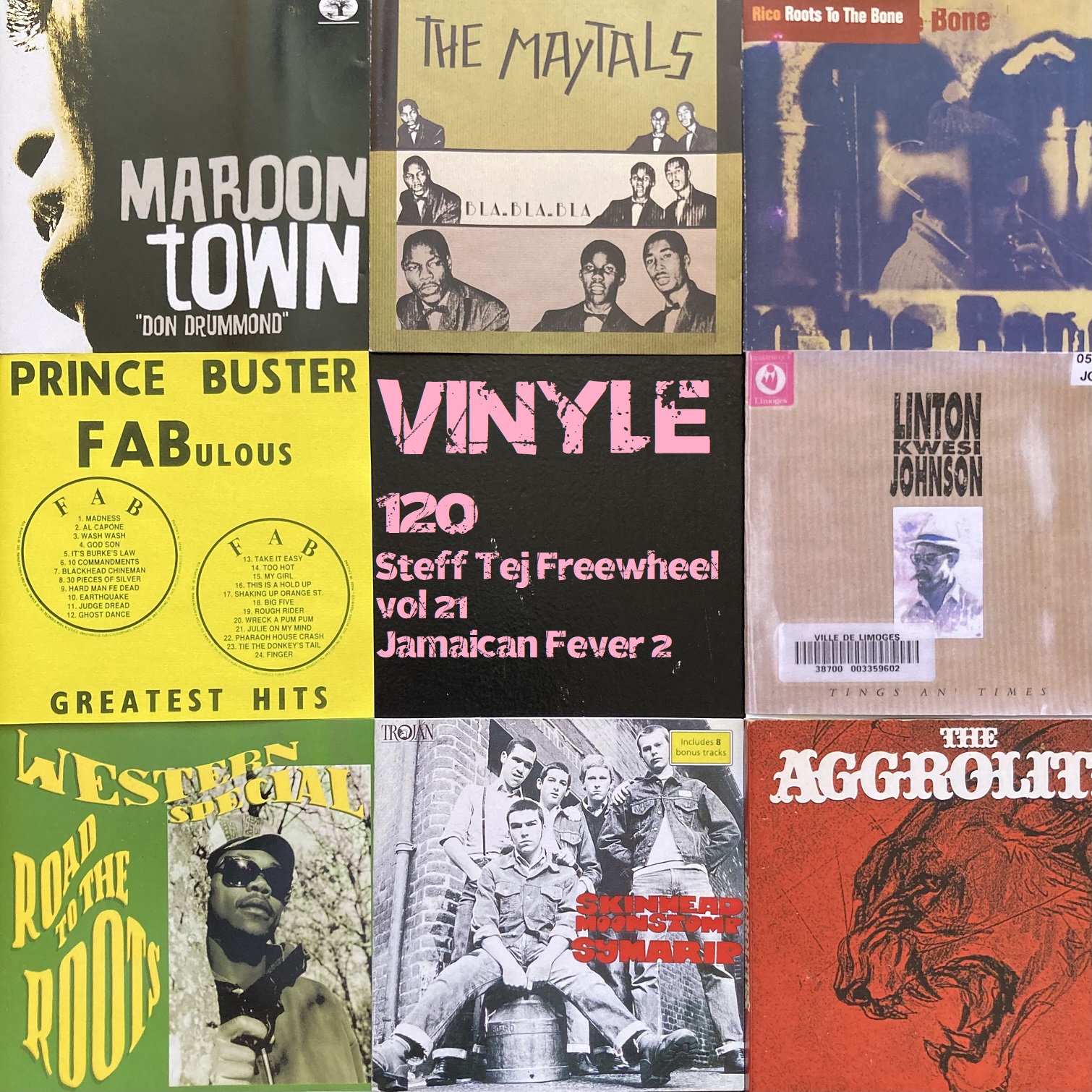 Vinyle par Steff Tej