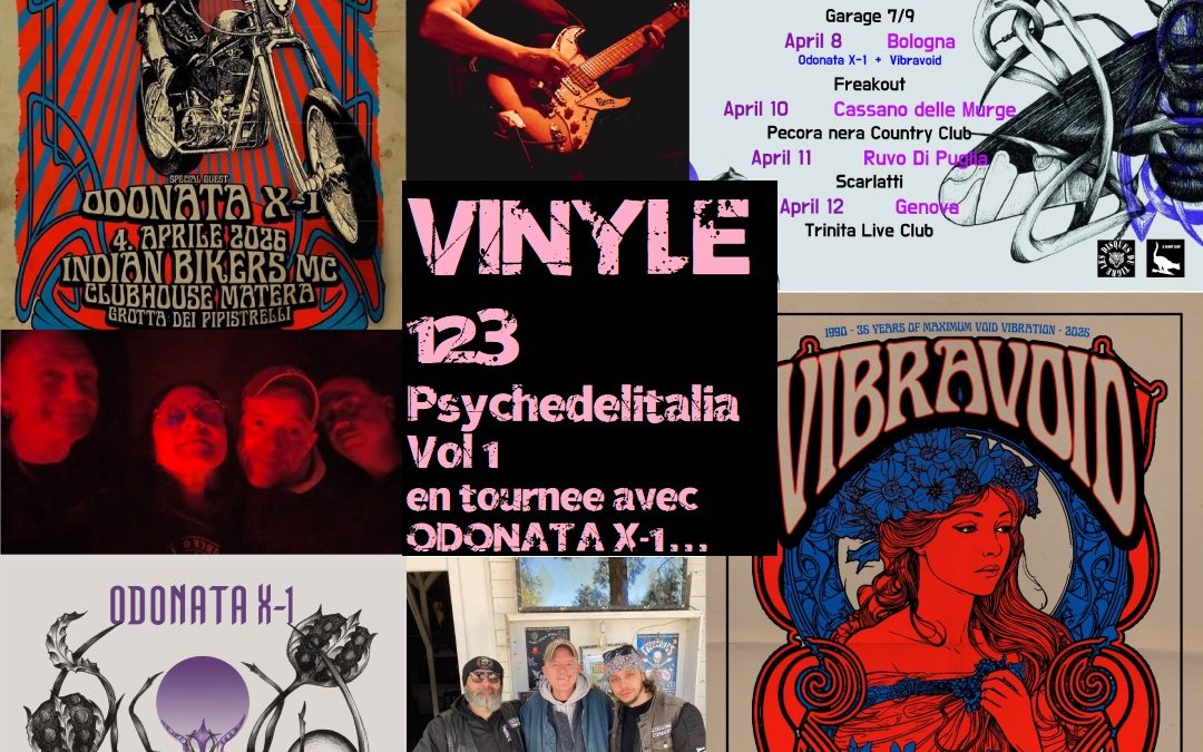 Vinyle n°109 par Steff Tej