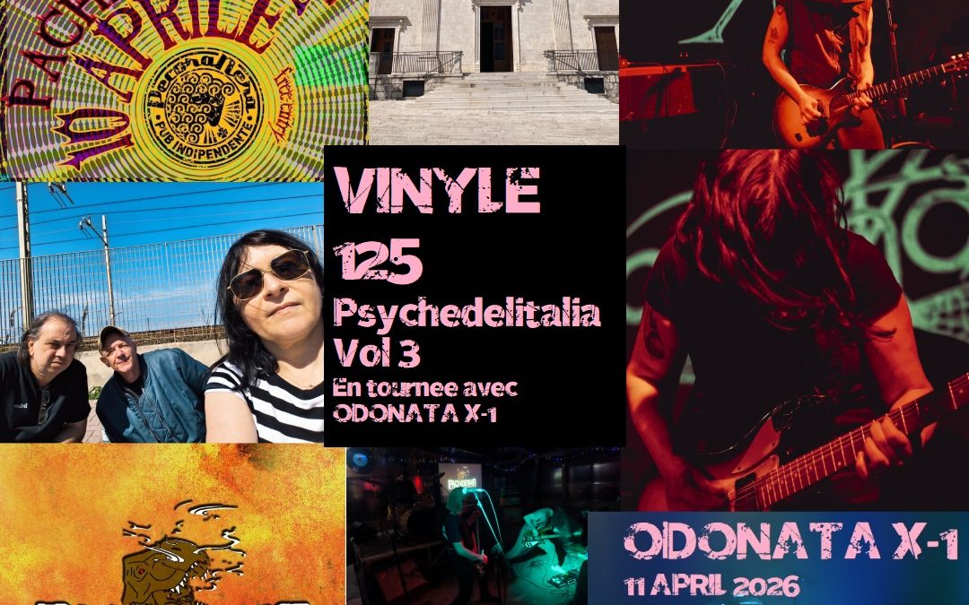 Vinyle n°111 par Steff Tej
