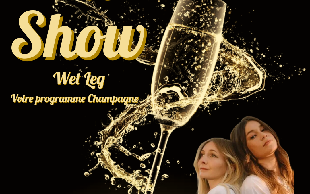 The Show – Wet Leg