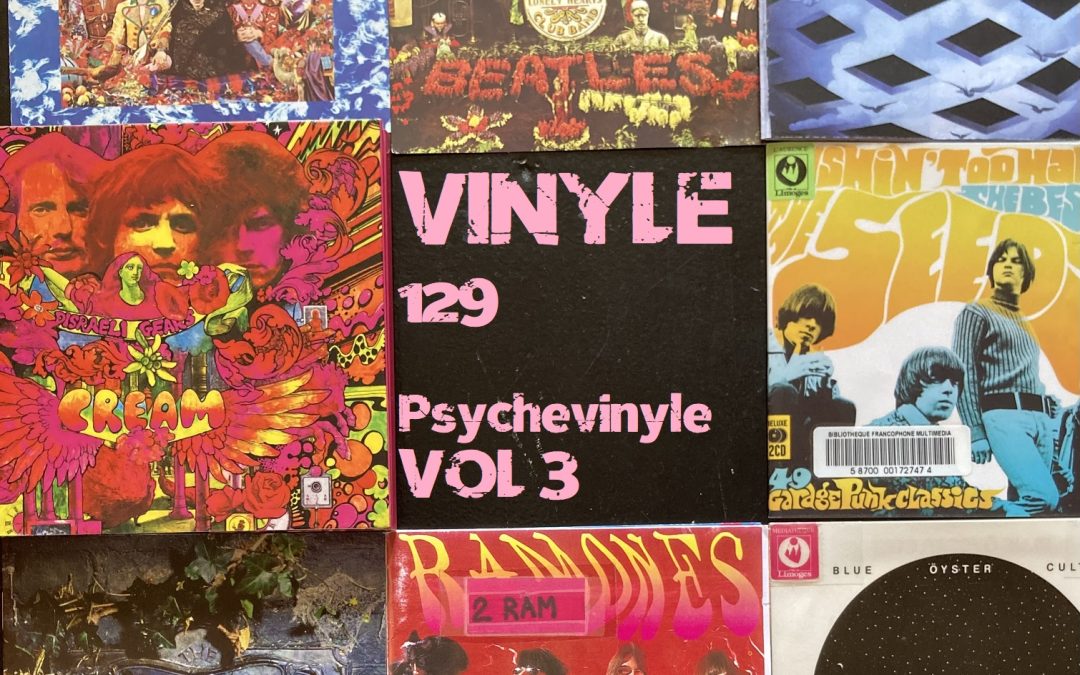 Vinyle n°115 par Steff Tej